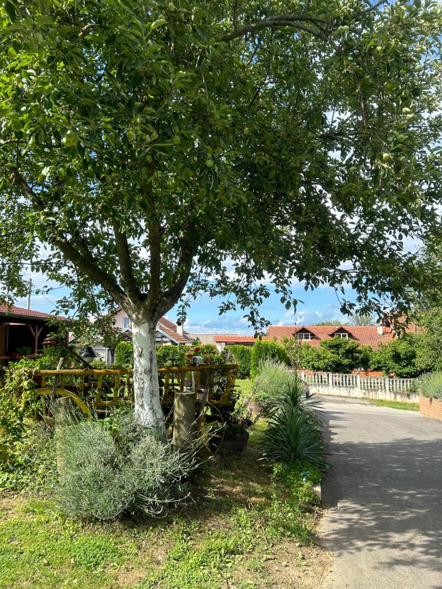 Camping Lukac Kutina Exterior foto